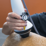 Non-Surgical Management of Sporting Dog Injuries: Effective Treatment Options