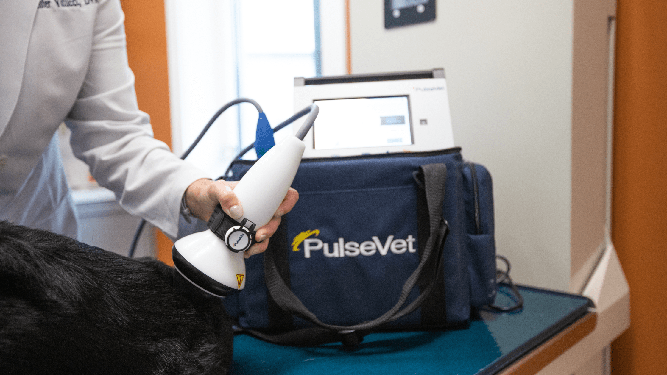 Blog Banner for Website Content (9)