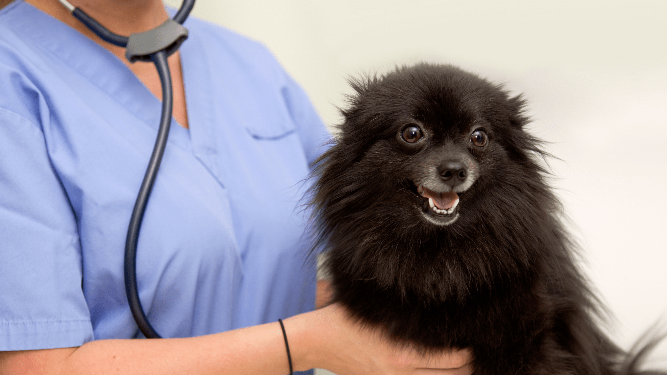 Blog Banner for Website Content (30)