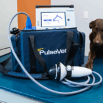 When Your Dog is Limping: A Non-Invasive Solution That Could Change Everything 